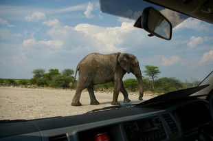720 Namibia Okt 2006 .JPG